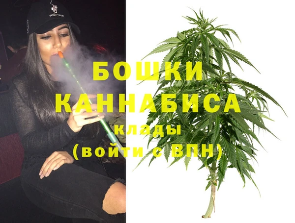 дмт Абаза