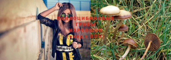 дмт Абаза