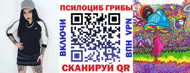 сколько стоит Грозный Псилоцибиновые грибы Cubensis